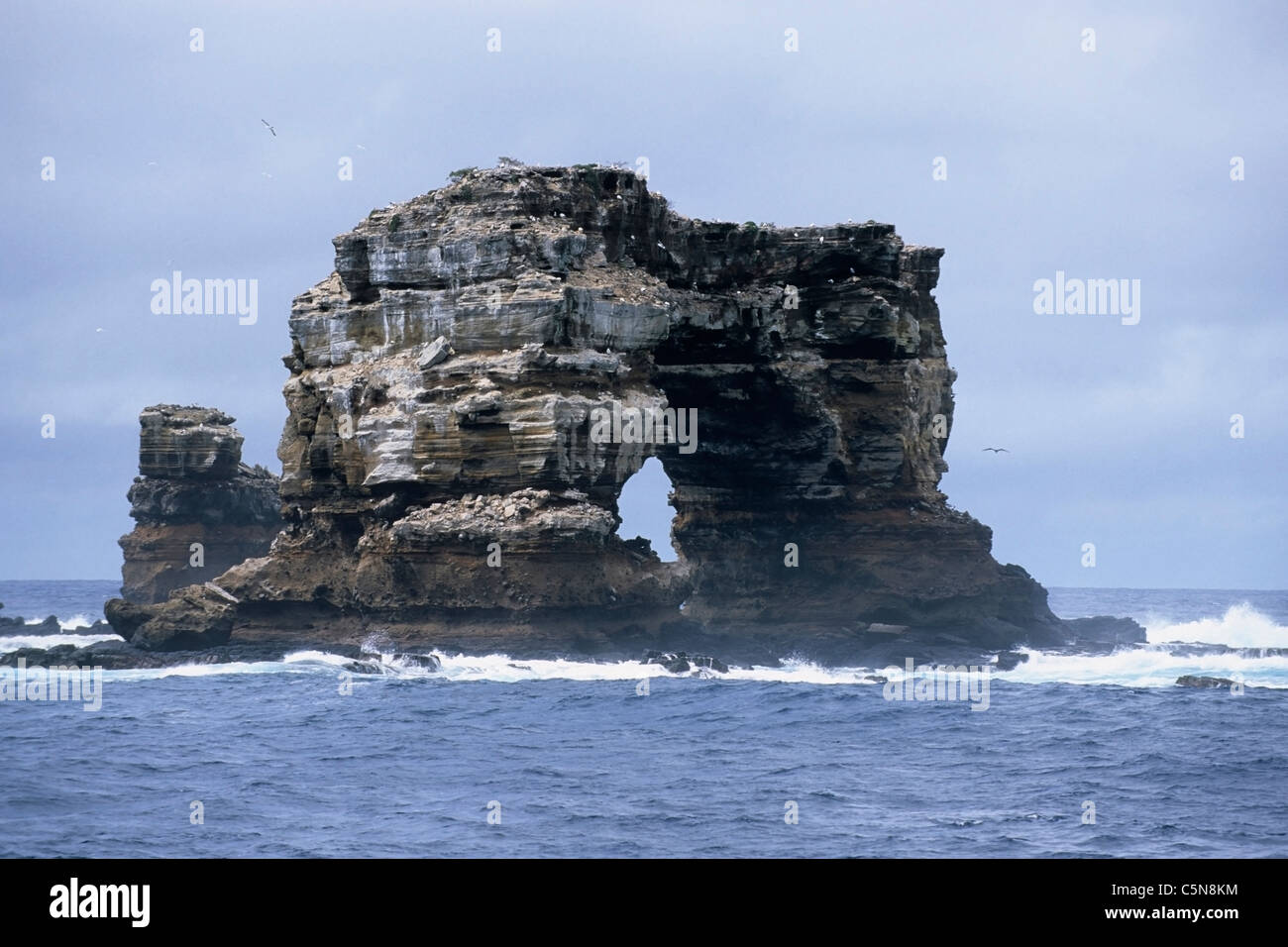 Darwins Arch offshore of Darwin Island, Galapagos, Ecuador Stock Photo