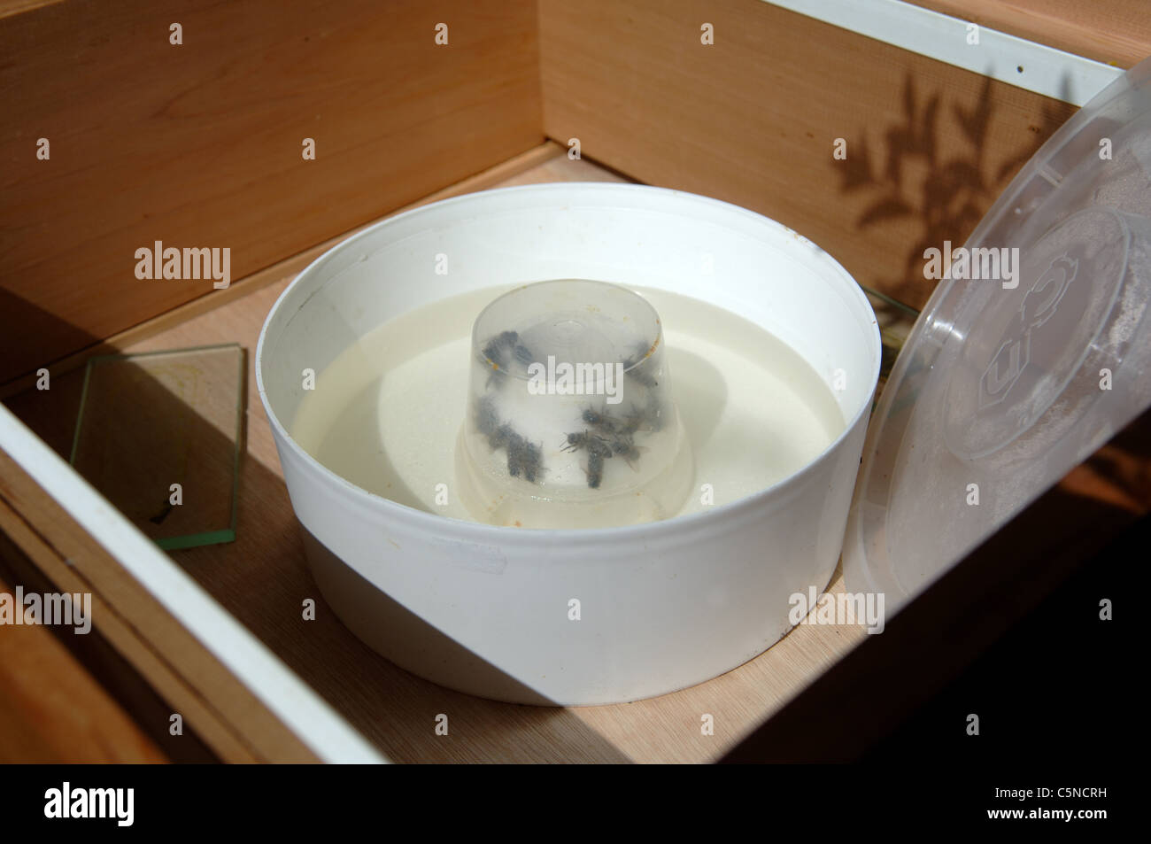 A Rapid Feeder In Place On A National Bee Hive Stock Photo