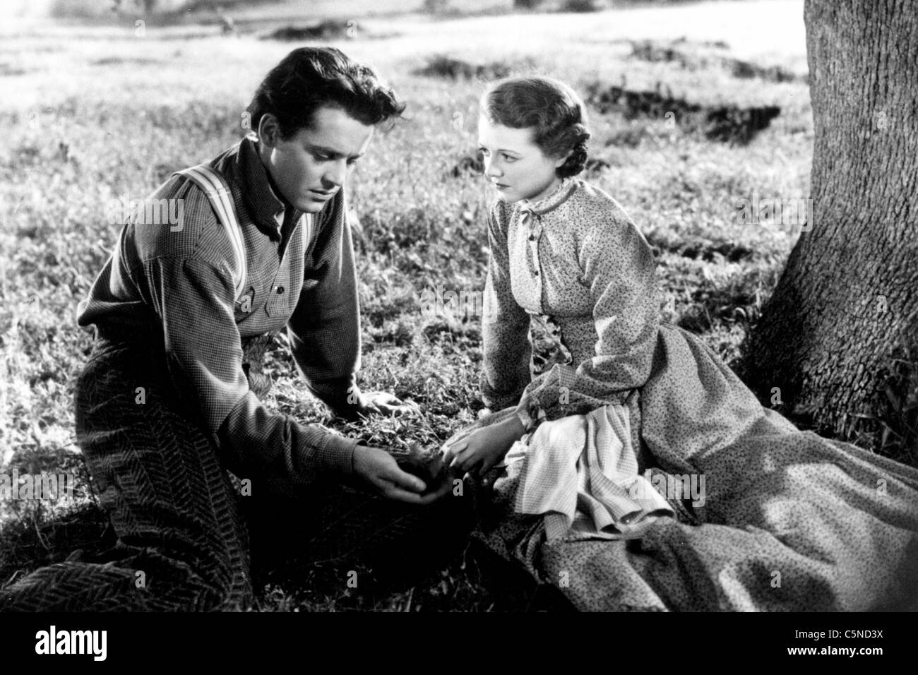 the farmer takes a wife, henry fonda, janet gaynor, 1935 Stock Photo