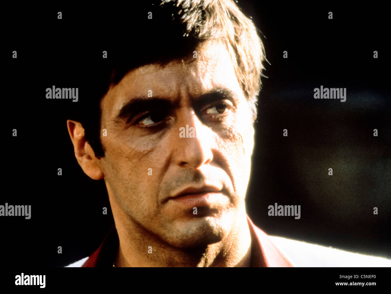 ''scarface'' hi-res stock photography and images - Alamy