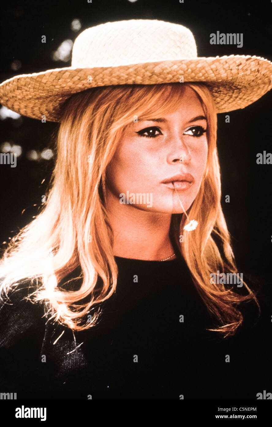 Brigitte Anne Marie Bardot Stock Photos & Brigitte Anne Marie Bardot ...
