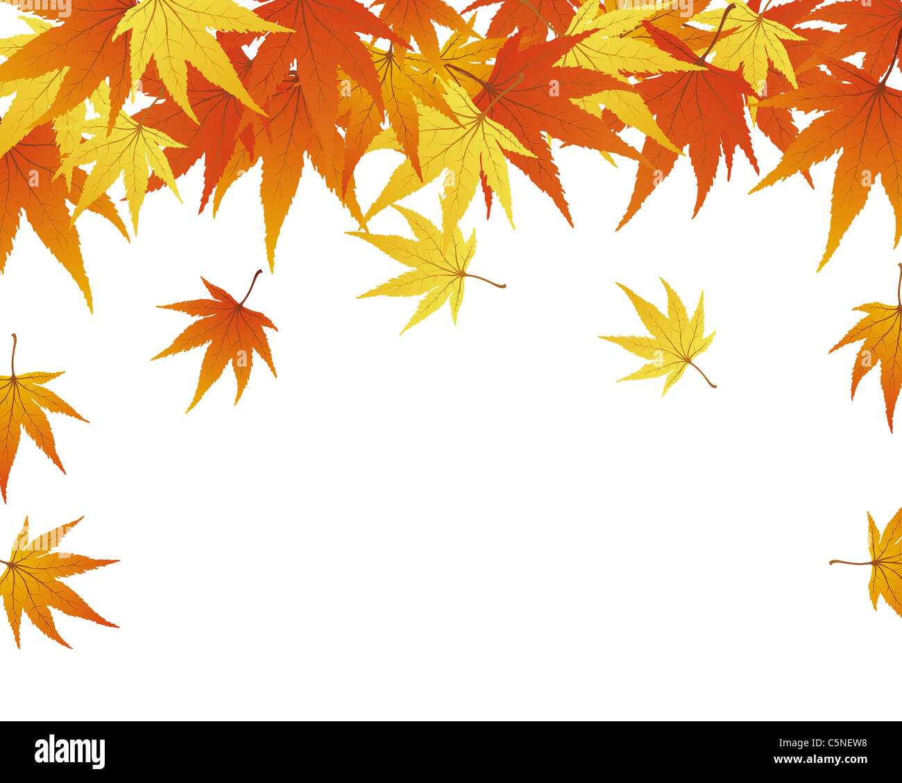 Pattern of autumn maples leaves. Vector illustration Stock Photo - Alamy