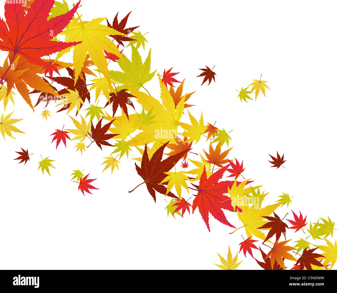 Pattern of autumn maples leaves. Vector illustration Stock Photo - Alamy