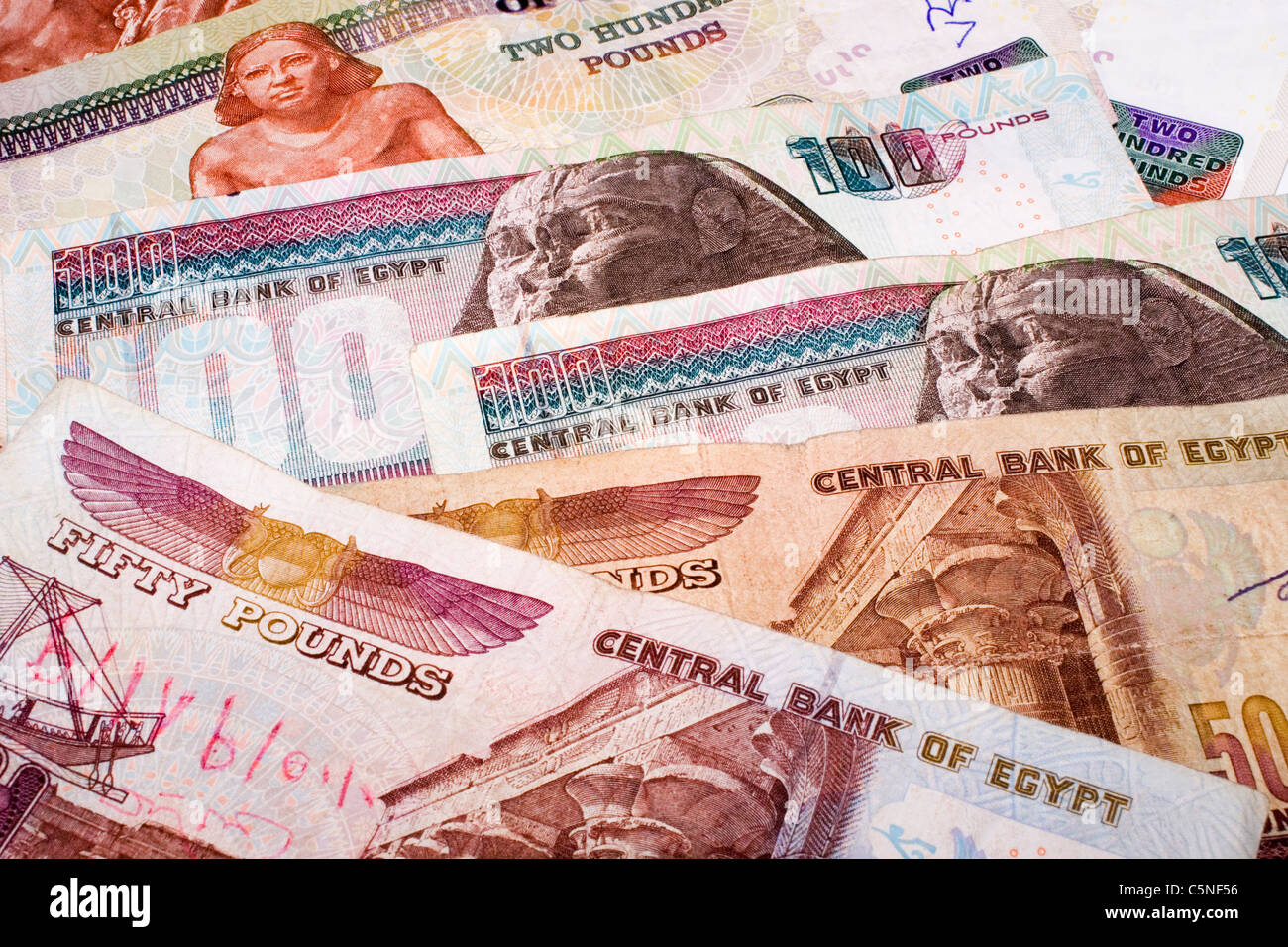 Display of Egyptian currency Stock Photo