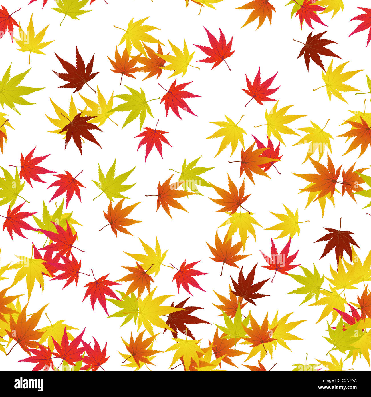 Pattern of autumn maples leaves. Vector illustration Stock Photo - Alamy