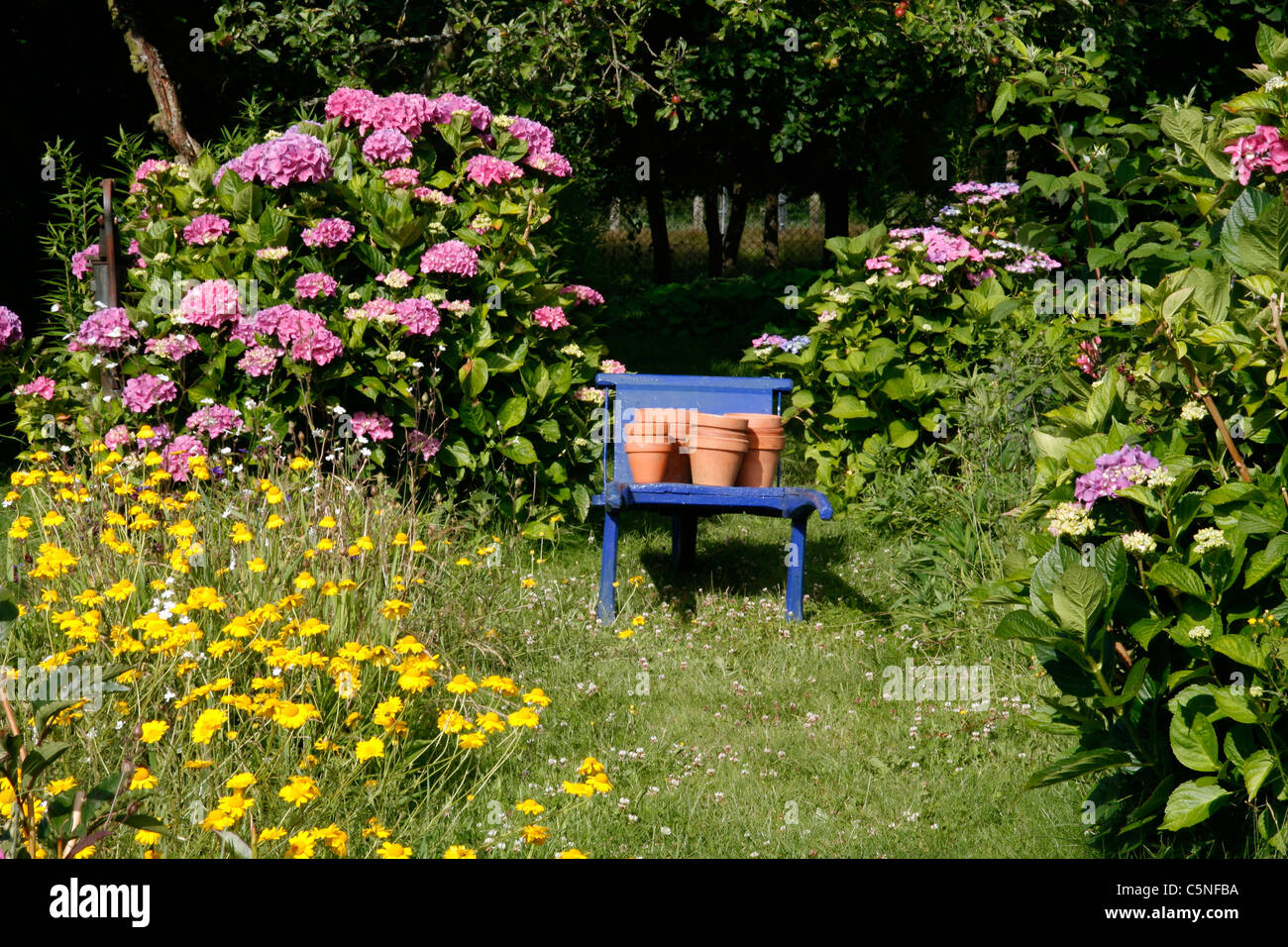 Wheelbarrow with clay pots in the garden path. Stock Photo