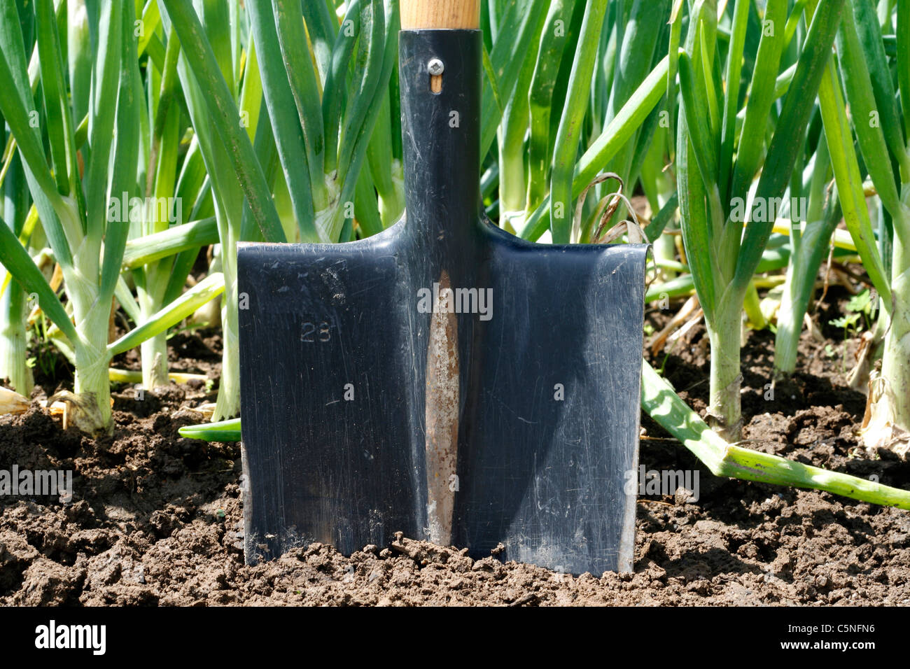 Garden spade soil hi-res stock photography and images - Alamy