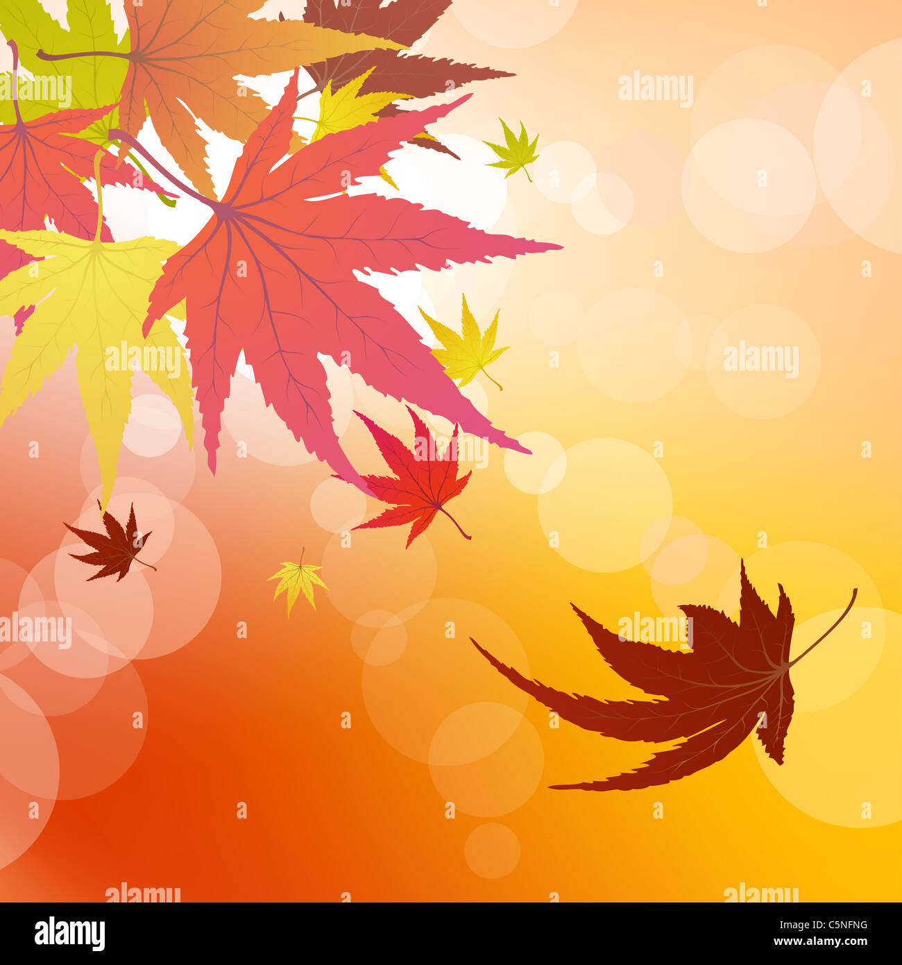 Pattern of autumn maples leaves. Vector illustration Stock Photo - Alamy
