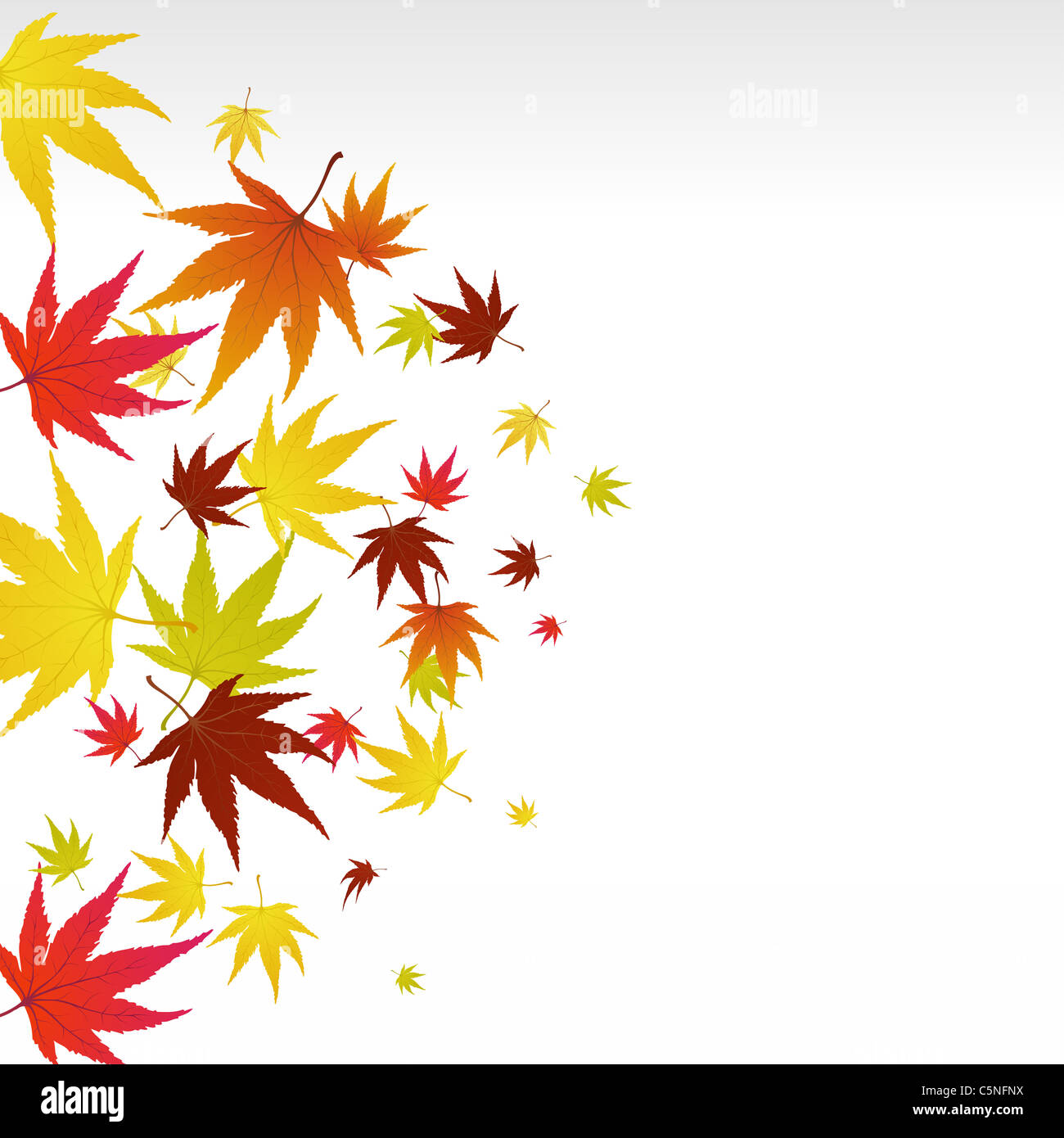 Pattern of autumn maples leaves. Vector illustration Stock Photo - Alamy