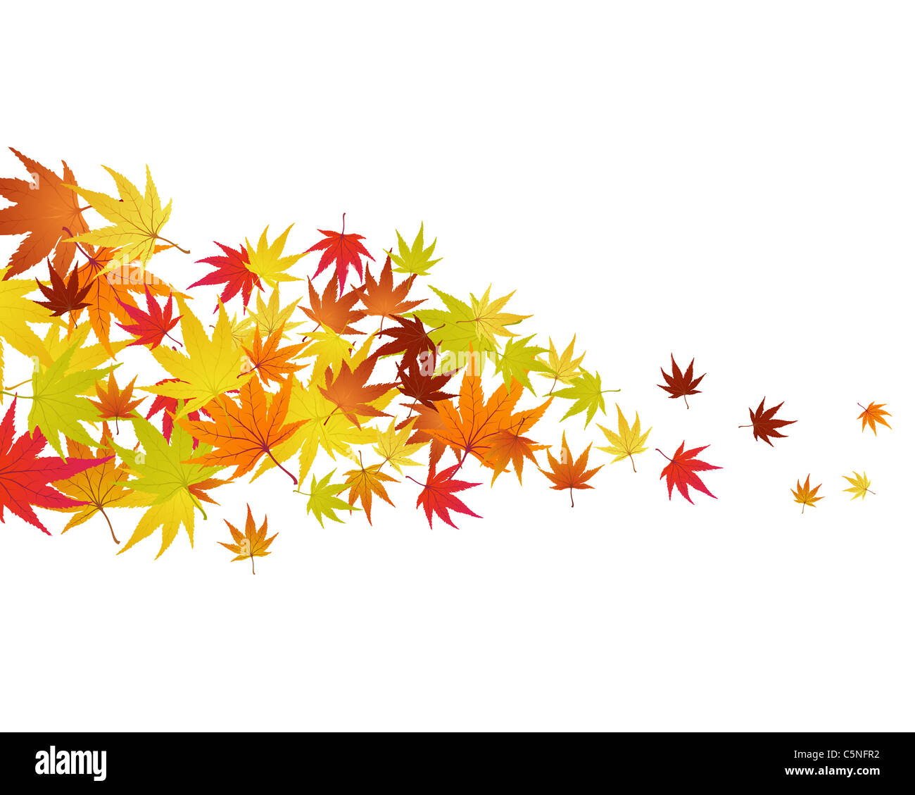 Pattern of autumn maples leaves. Vector illustration Stock Photo - Alamy