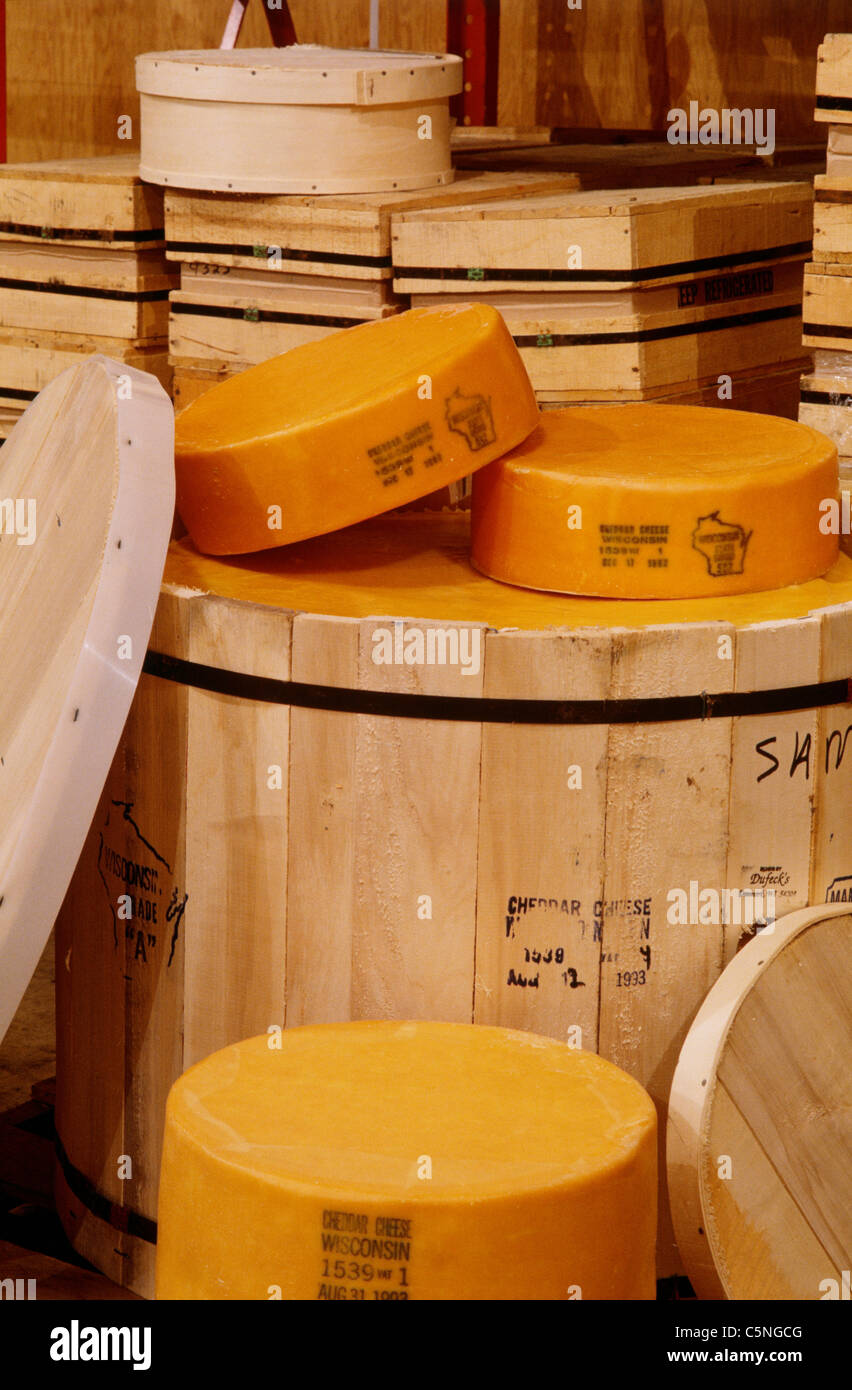 https://c8.alamy.com/comp/C5NGCG/wheels-of-cheddar-cheese-curing-in-storage-barrel-and-boxes-wisconsin-C5NGCG.jpg