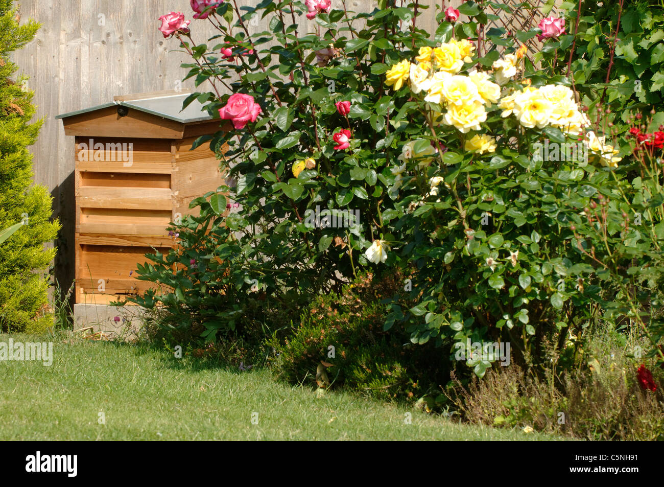 Bee Hives in an English garden Stock Photo