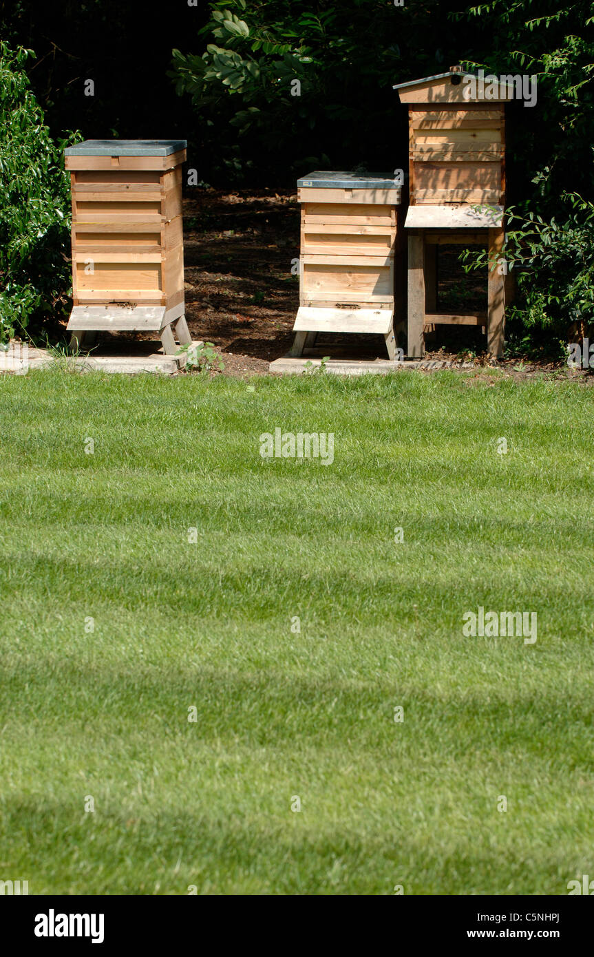 Bee Hives in an English garden Stock Photo Alamy