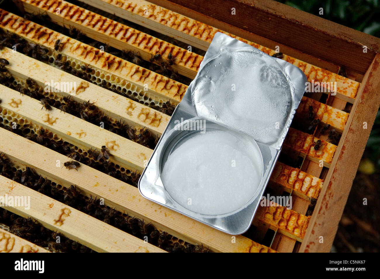 Treating a bee hive with Apiguard to treat Varroa mite Stock Photo