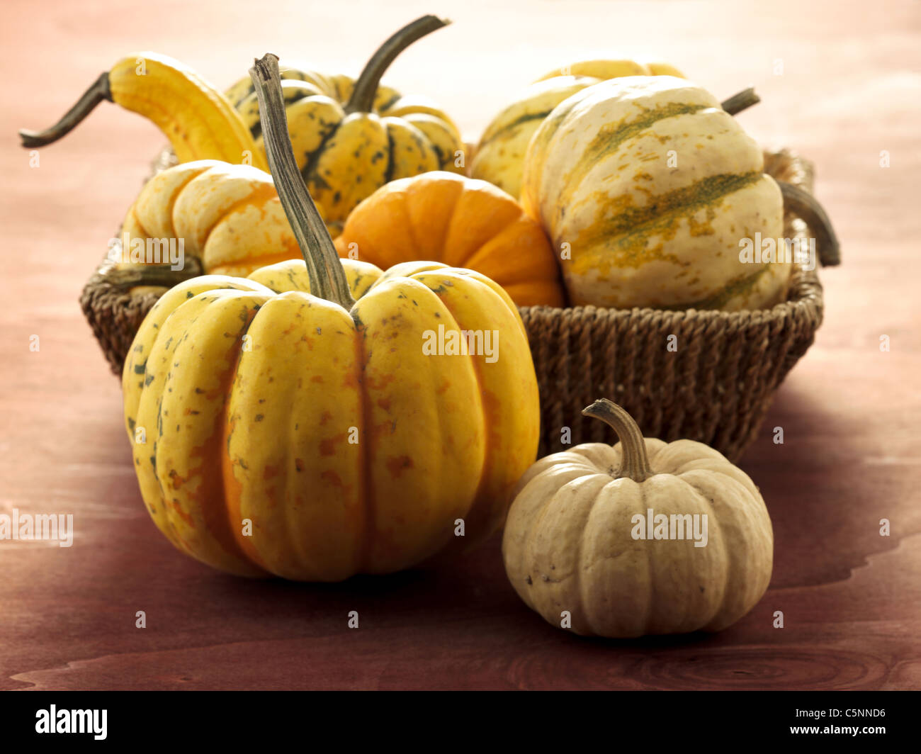 Different kinds of pumpkin Stock Photo