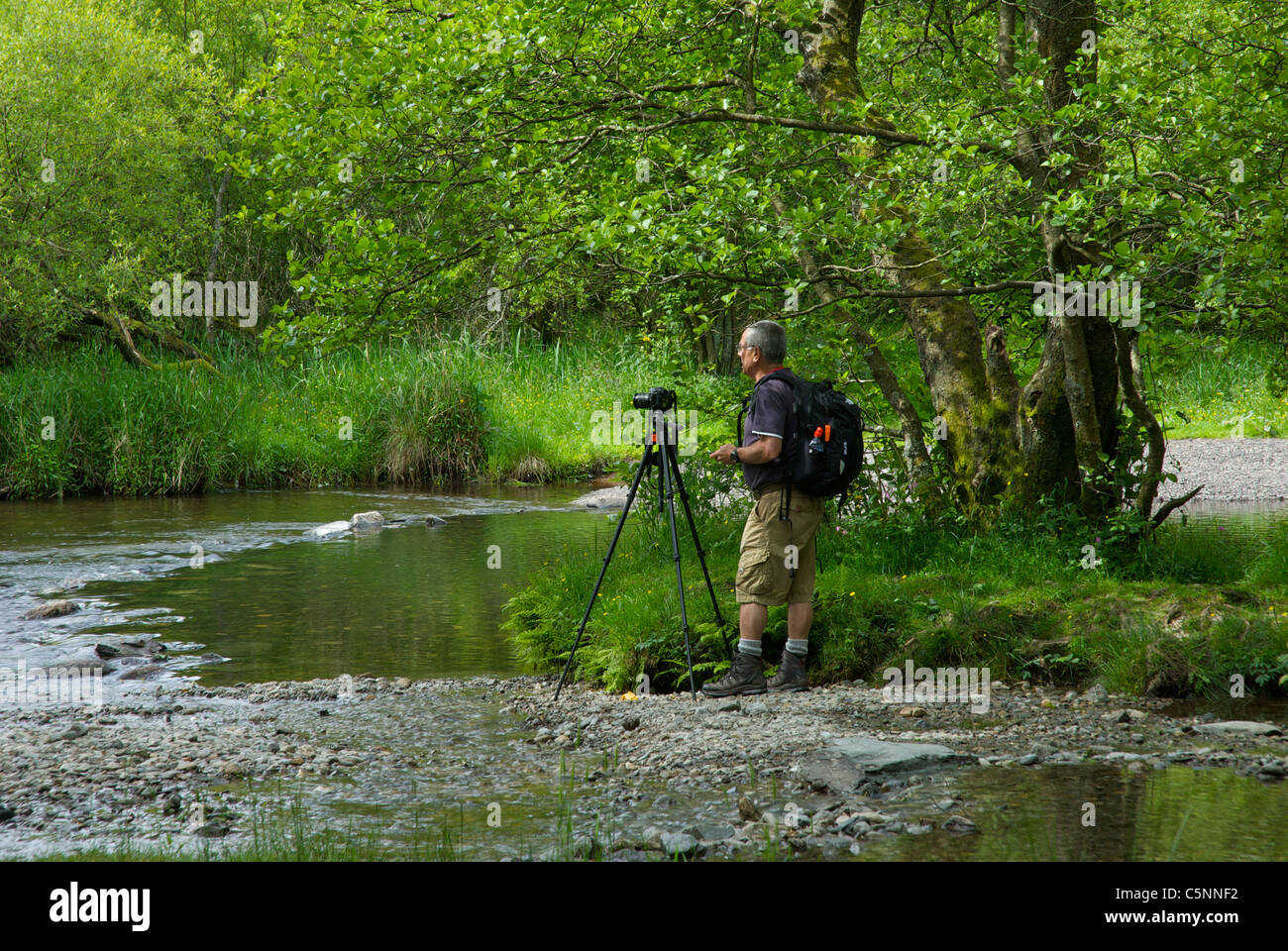 River Rothay Fishing Photographer by the River Rothay, flowing between Grasmere and Rydal ...