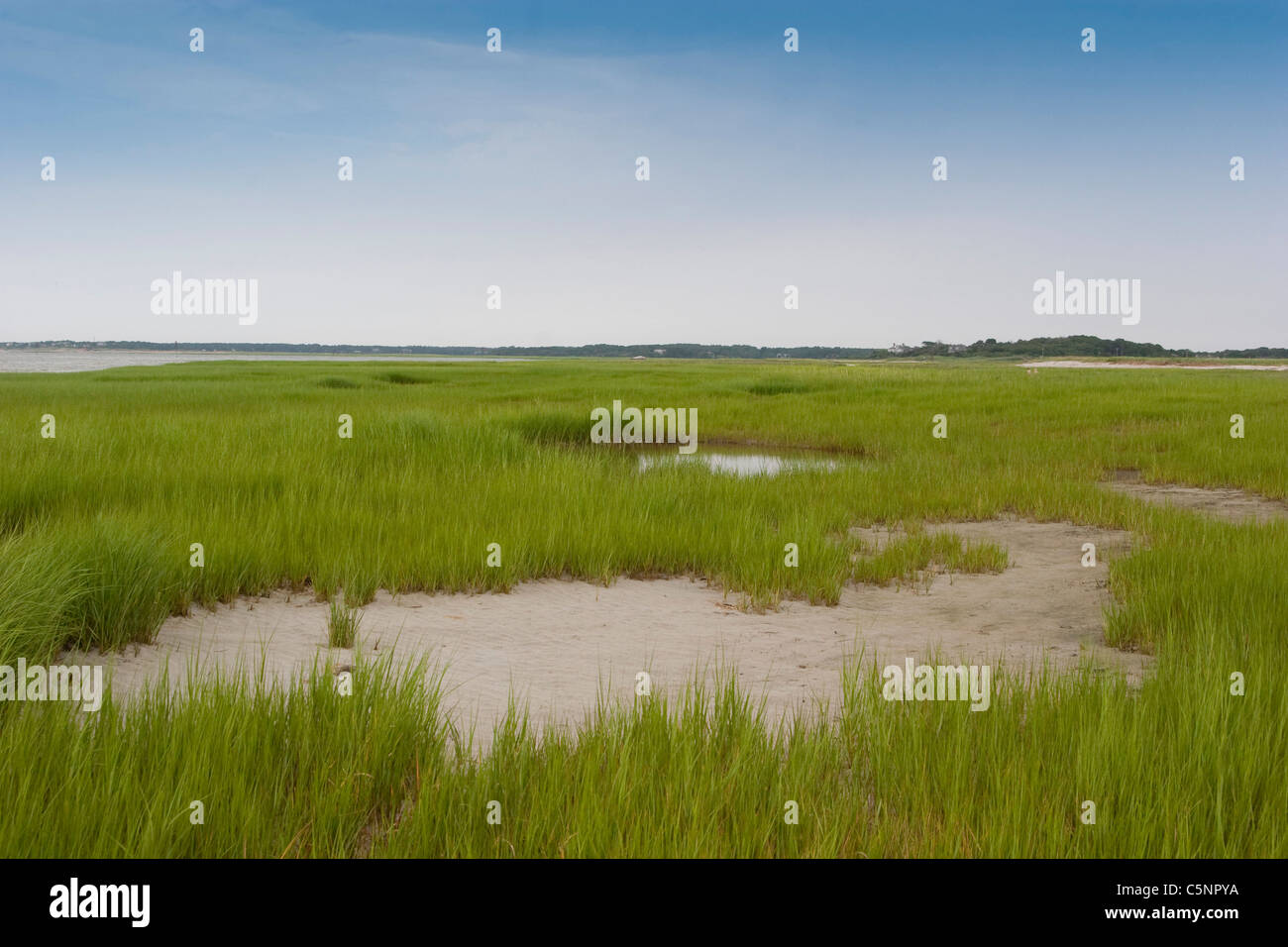 Low tide on a beach in Orleans MA Stock Photo Alamy