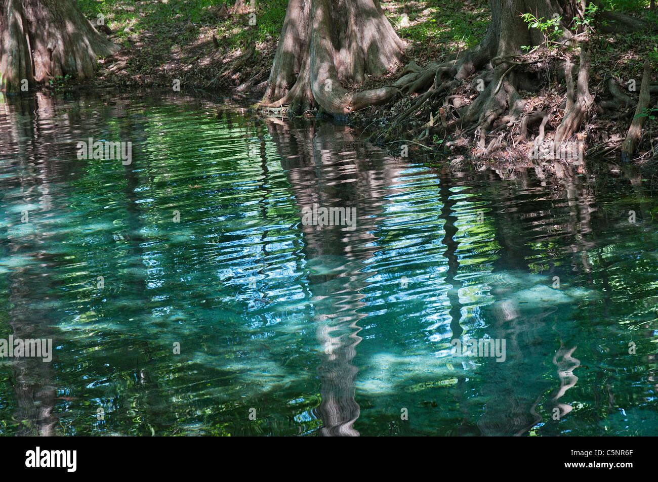 Ginnie Springs along the Santa Fe River in North Central Florida Stock