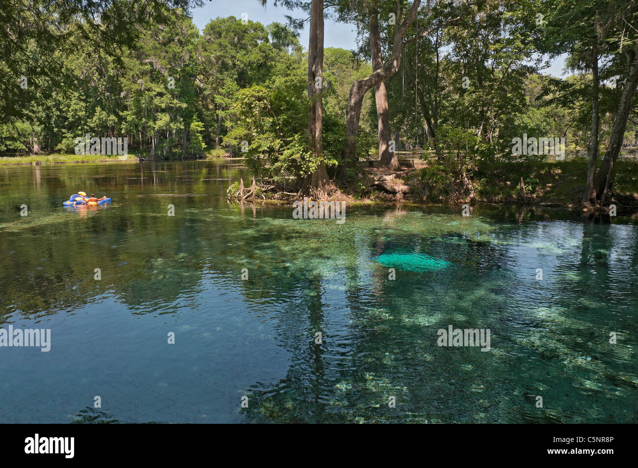 Ginnie Springs along the Santa Fe River in North Central Florida Stock