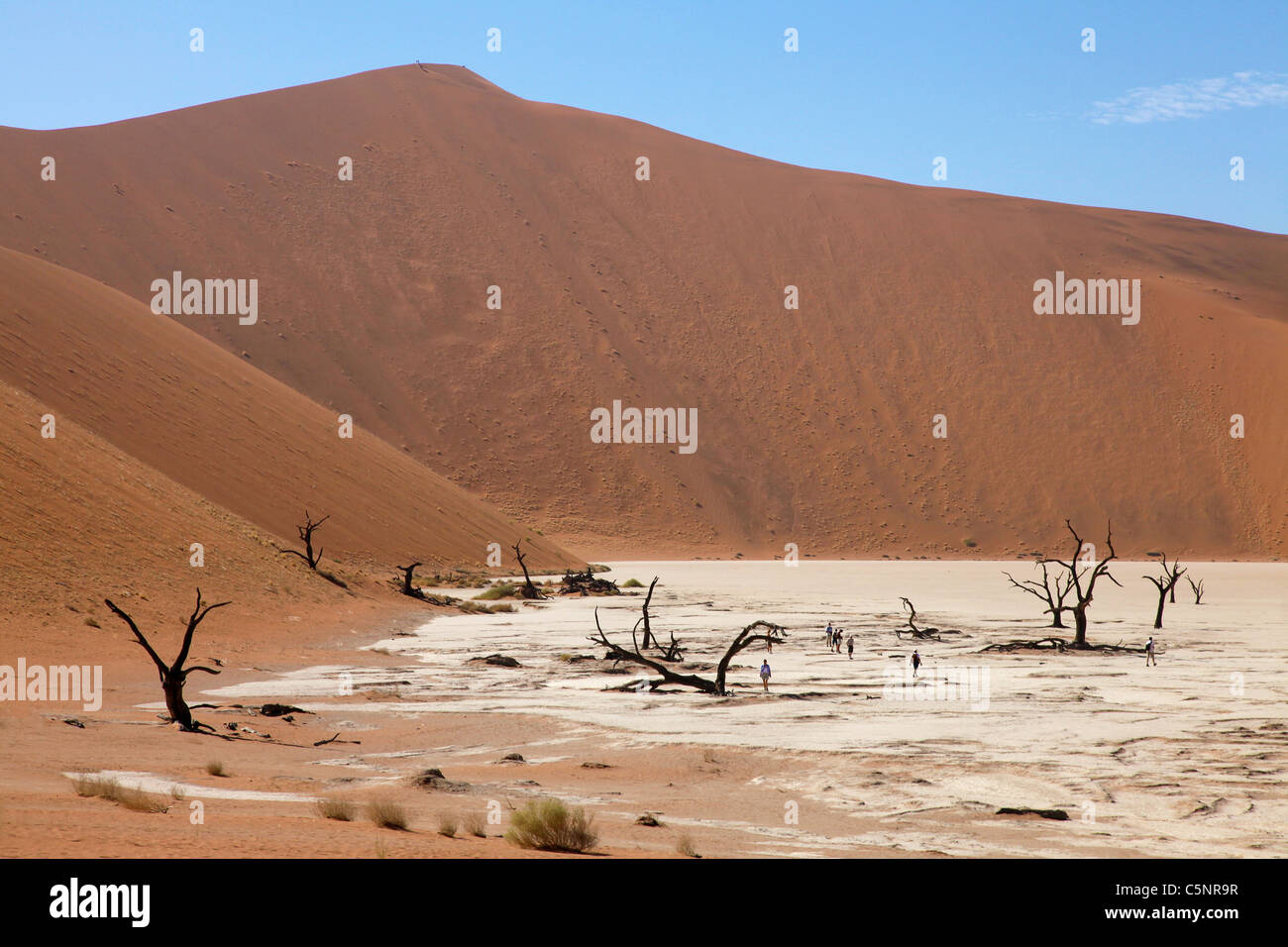 Deadvlei in the Sossusvlei area of the Namib desert - Namibia. Trees here have been dessicated for over 1000 years. Stock Photo