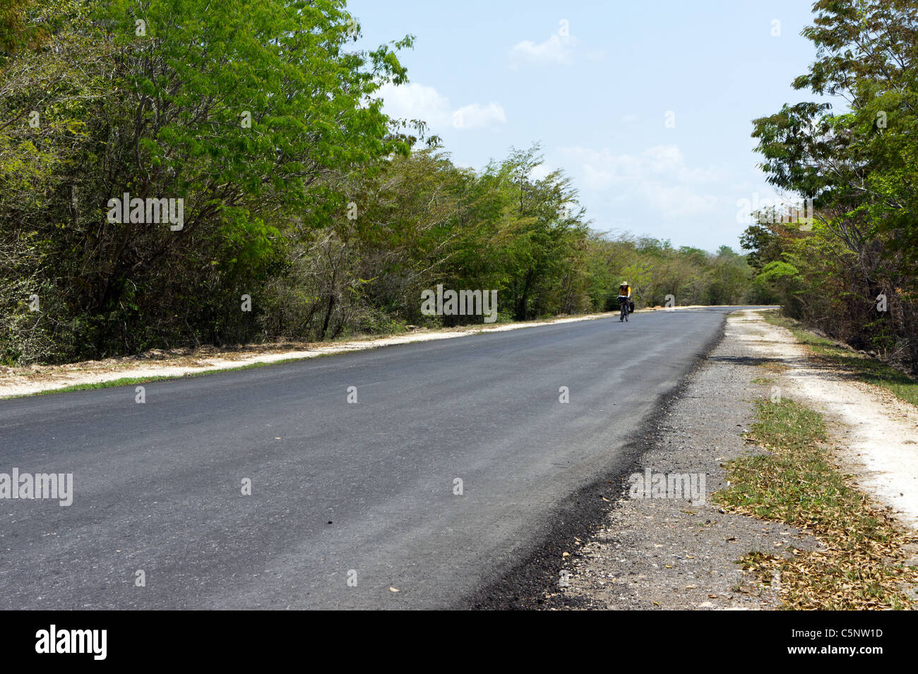 Lone cyclist on empty road through Zapata Swamp in southern Cuba. Stock Photo