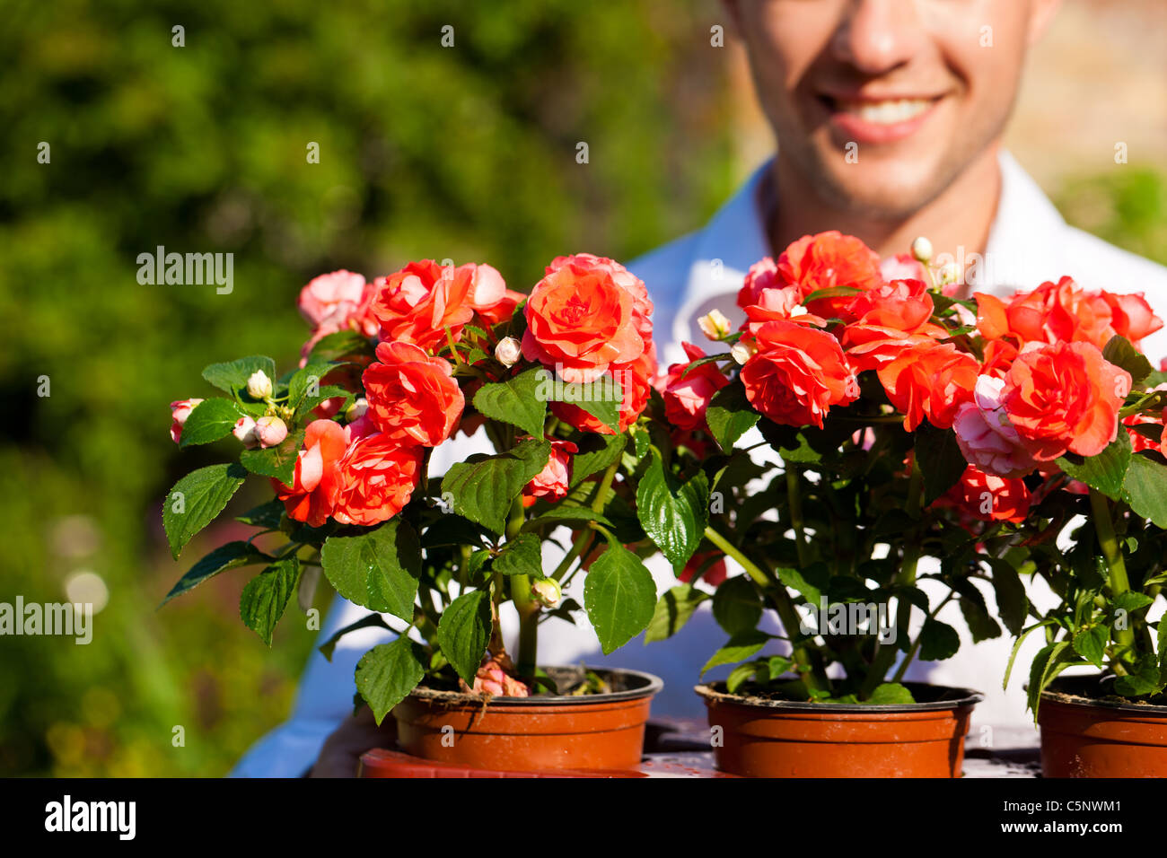 Gardening in summer man with flowers in his garden Stock Photo Alamy