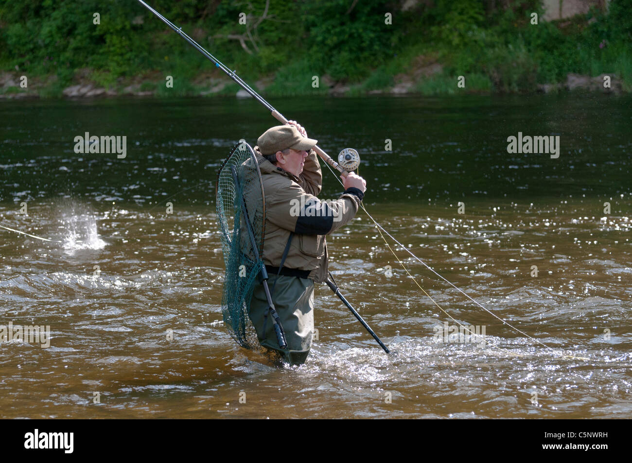 Fisherman fly fishing for salmon on River Tweed, Scottish Borders