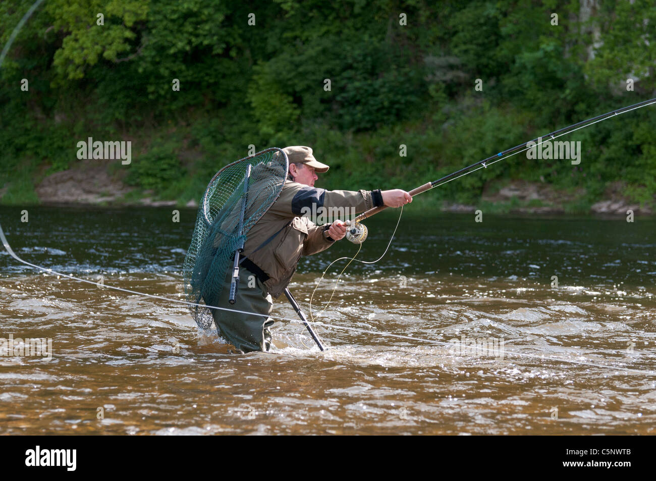 Fisherman fly fishing for salmon on River Tweed, Scottish Borders, Scotland Stock Photo