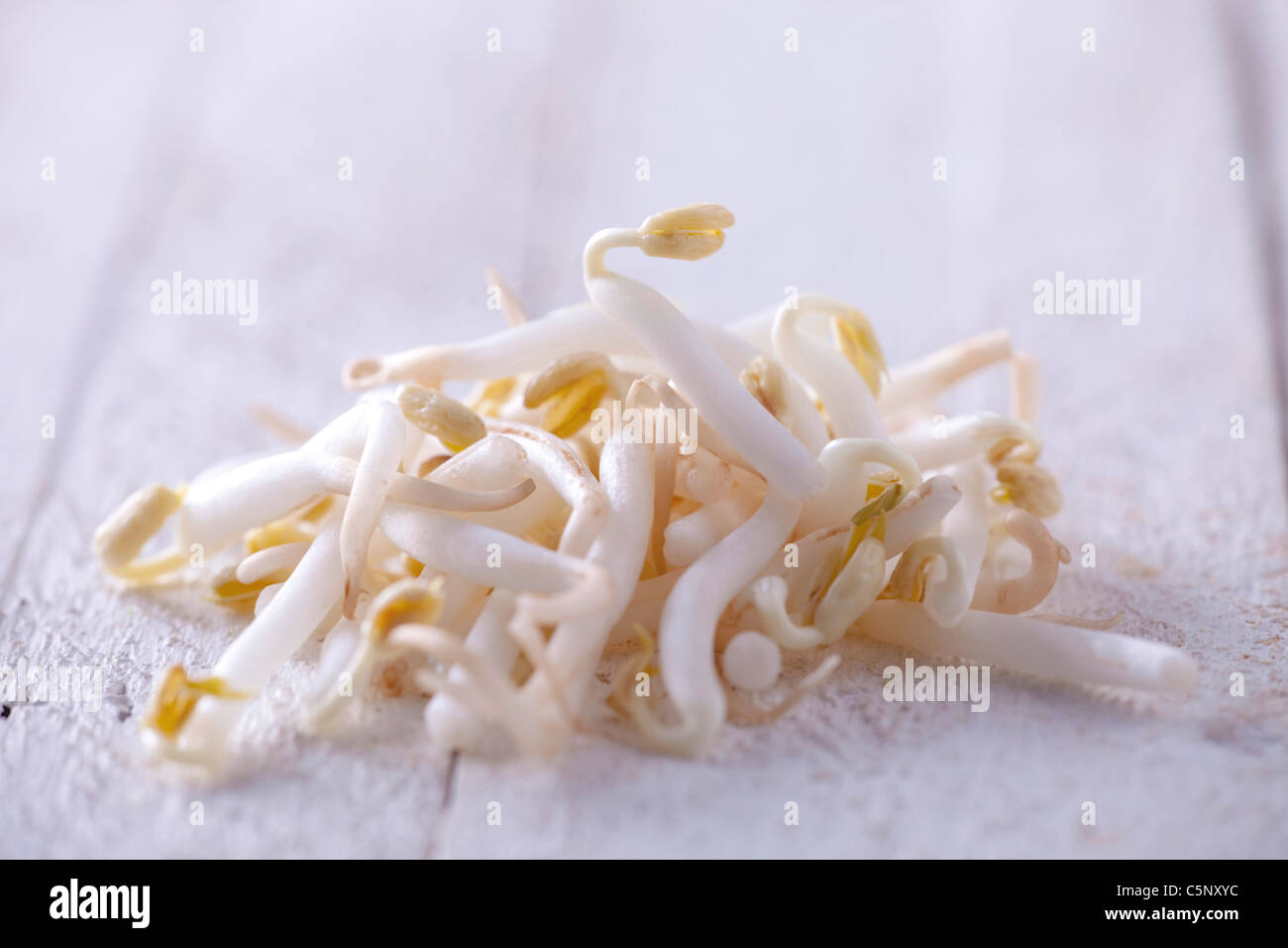 Fresh mung bean sprouts Stock Photo
