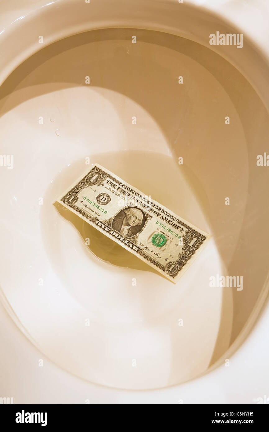 Dollar bill in a toilet Stock Photo Alamy