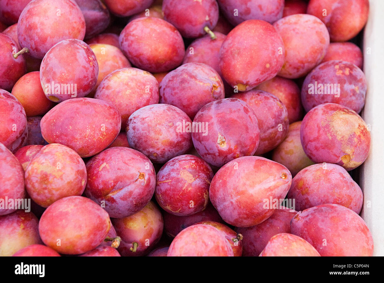 Plums Stock Photo