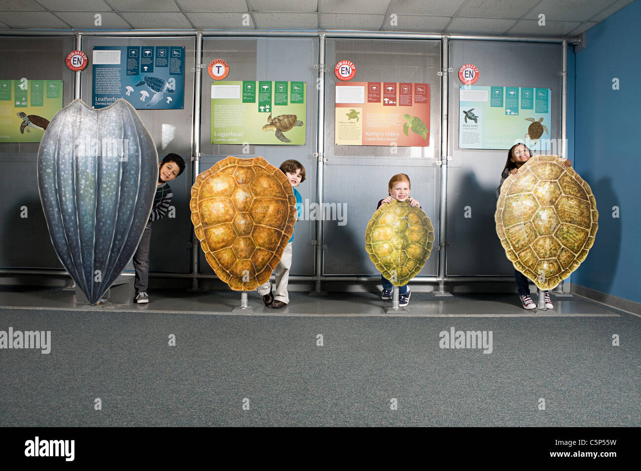 Four friends standing behind sea turtle shells Stock Photo - Alamy
