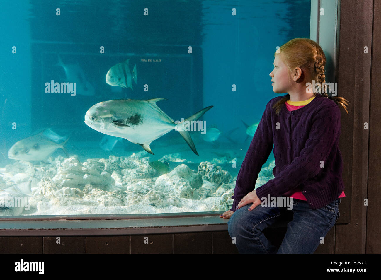 рыба-девушка аквариумная. аниме рыба. аниме девушка в аквариуме. девушка в аквариуме. девочка с аквариумом.