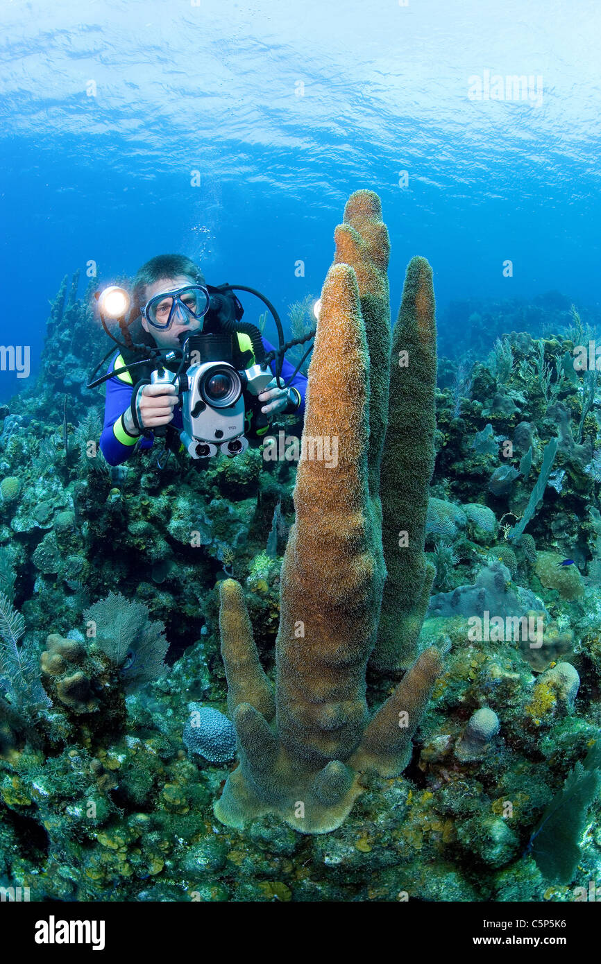 Videographer on coral reef Stock Photo