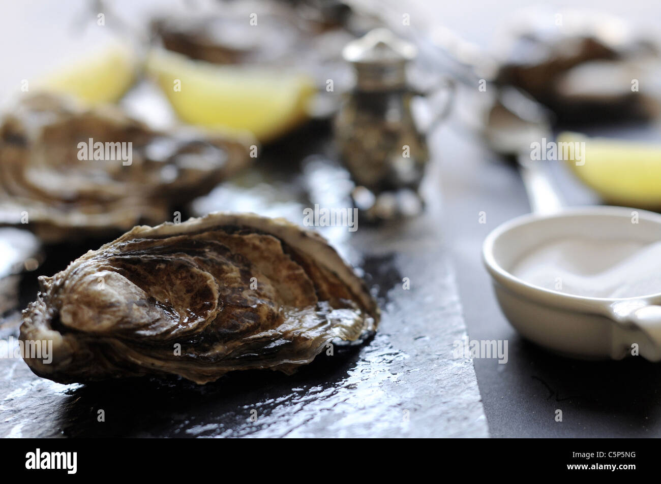 Oysters with lemon and salt Stock Photo