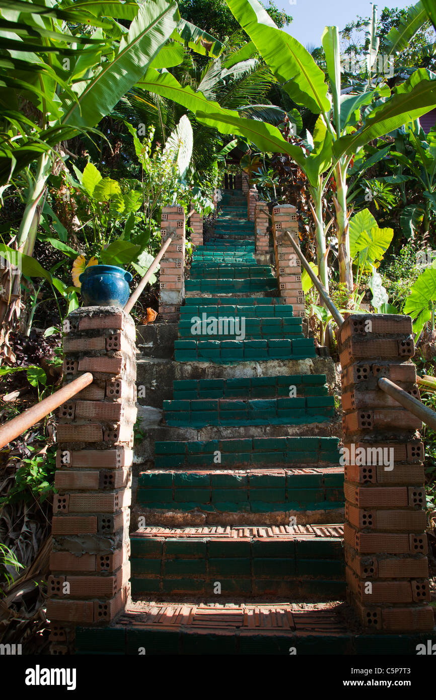 Staircase steps leading into up into tropical garden Thailand Stock Photo