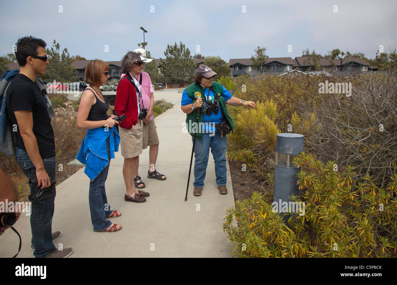 Tijuana slough national wildlife hires stock photography and images