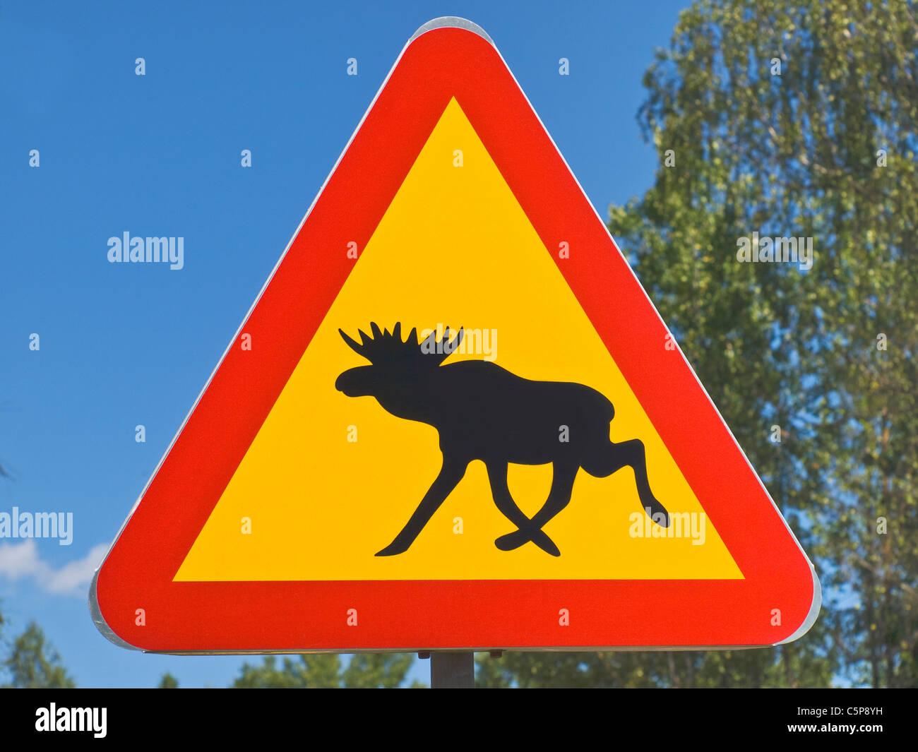 Verkehrszeichen 'Vorsicht Elche' | road sign elks crossing Stock Photo