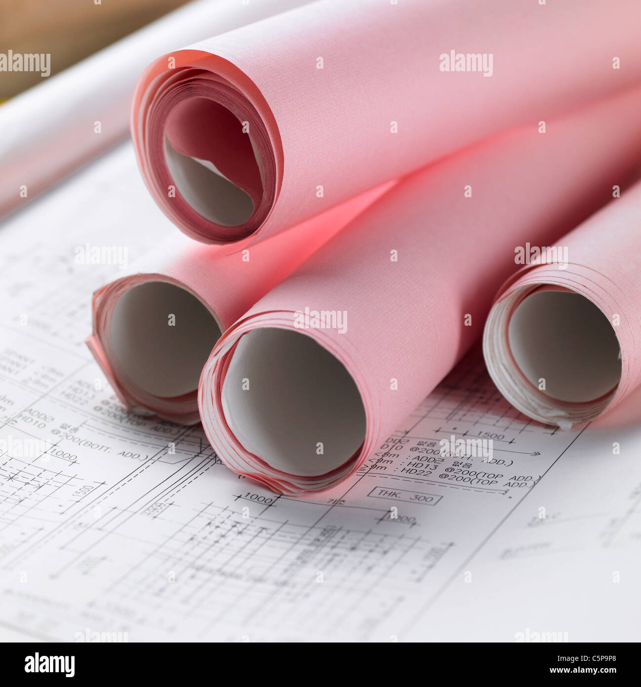 Paper rolls on blueprint Stock Photo