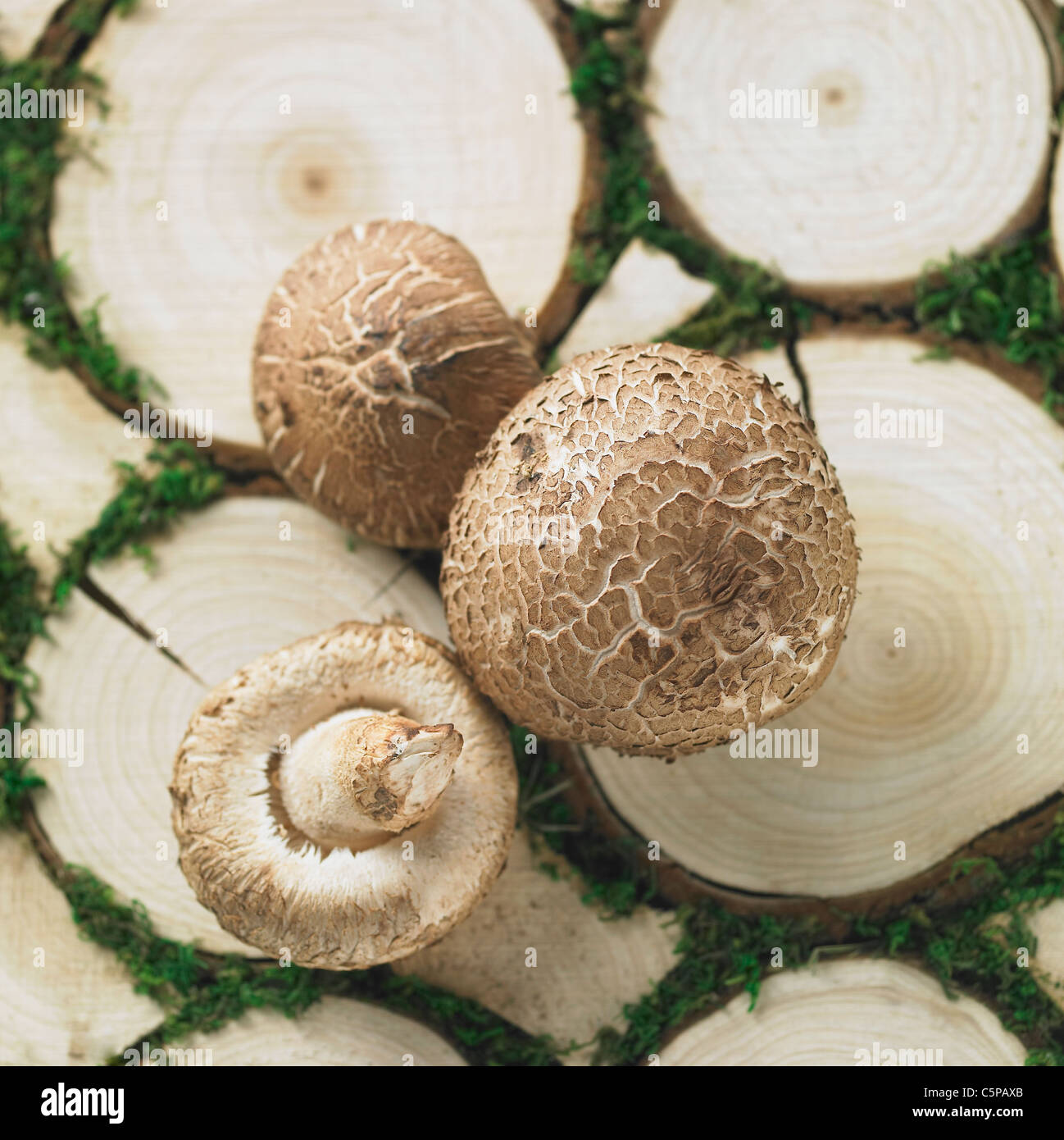 Uncooked shiitake hires stock photography and images Alamy