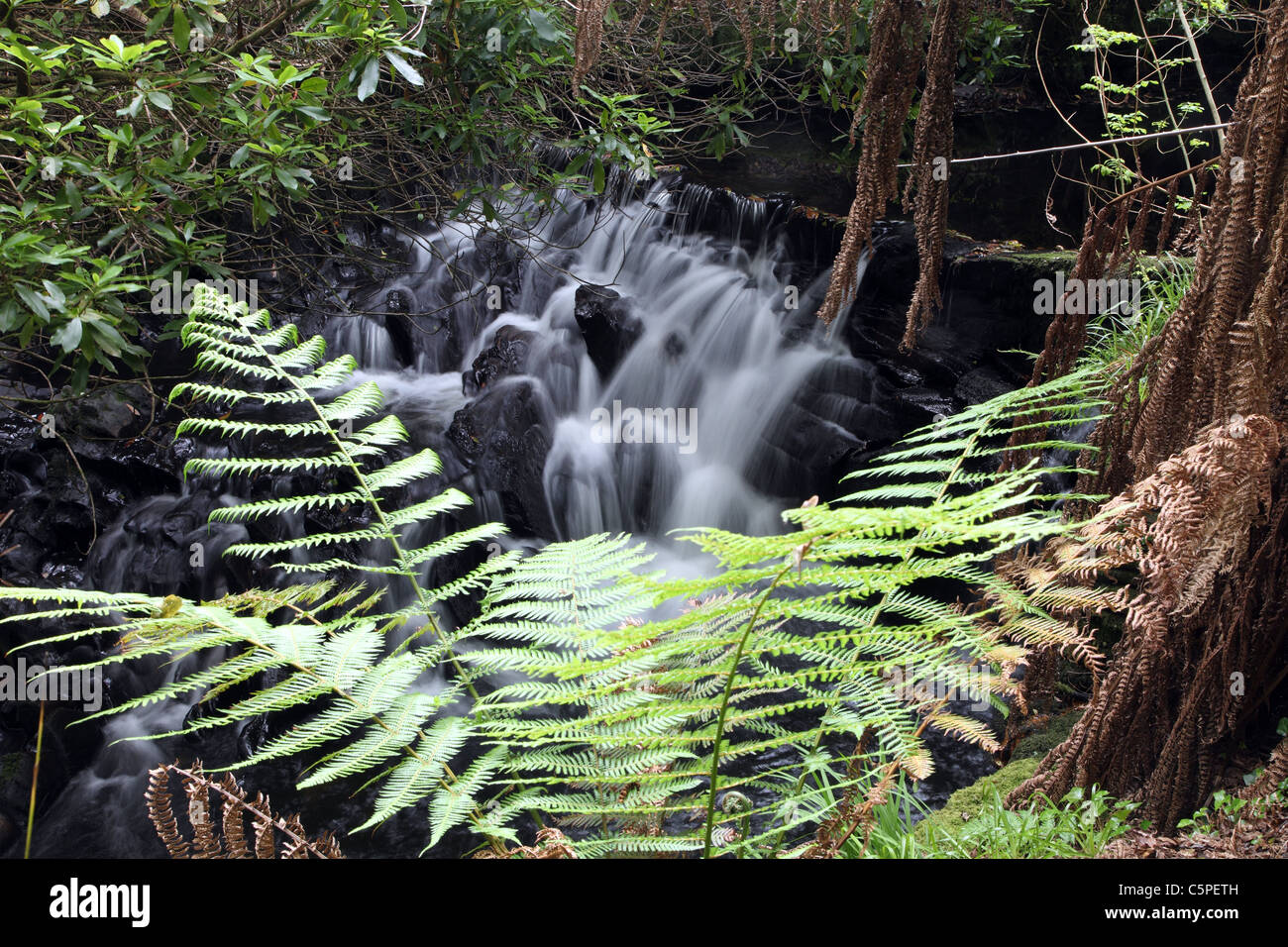 Kells Bay Gardens torrent Co Kerry Ireland Stock Photo