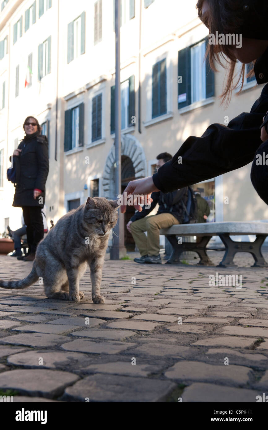 Cat rome hi-res stock photography and images - Alamy