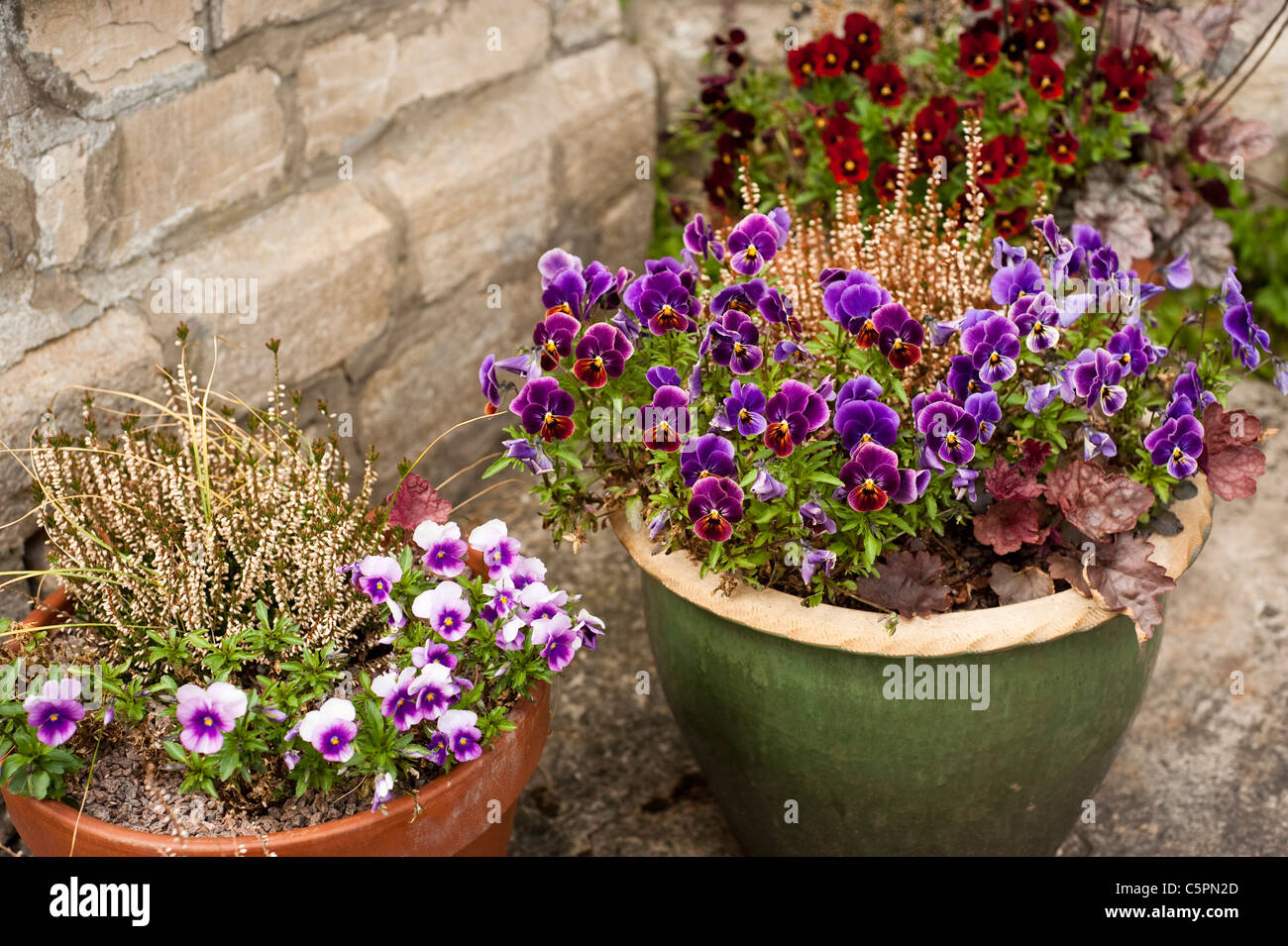 Mixed garden containers including Viola F1 'Antique Shades', 'Sorbet Blueberry Cream' and 'Rose Blotch' Stock Photo