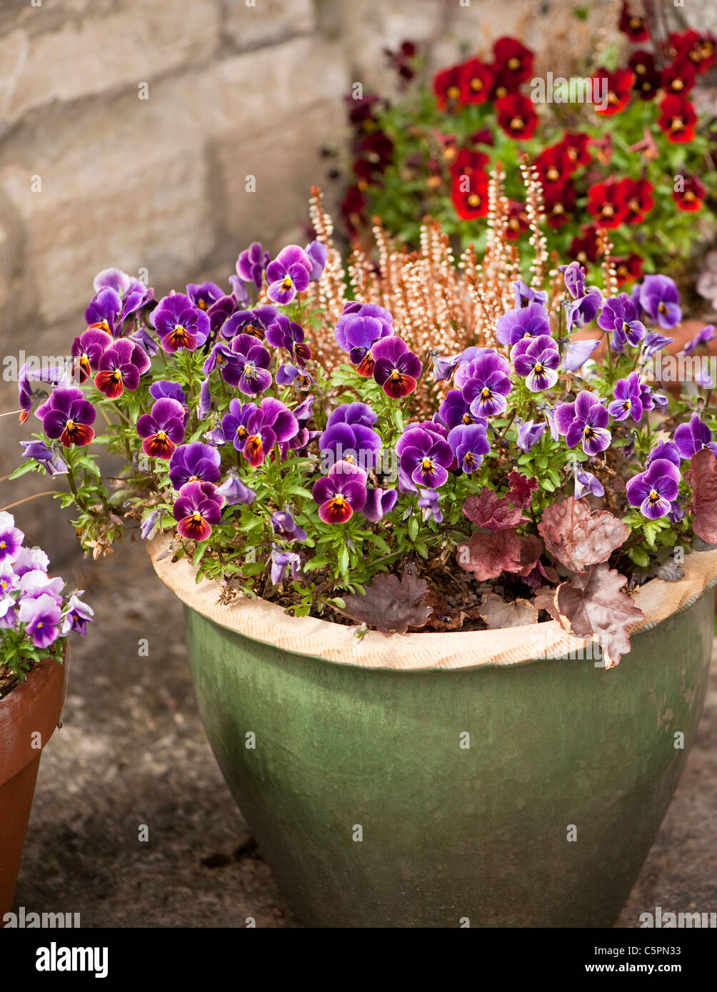 Mixed garden containers including Viola F1 'Antique Shades' and 'Rose Blotch' Stock Photo