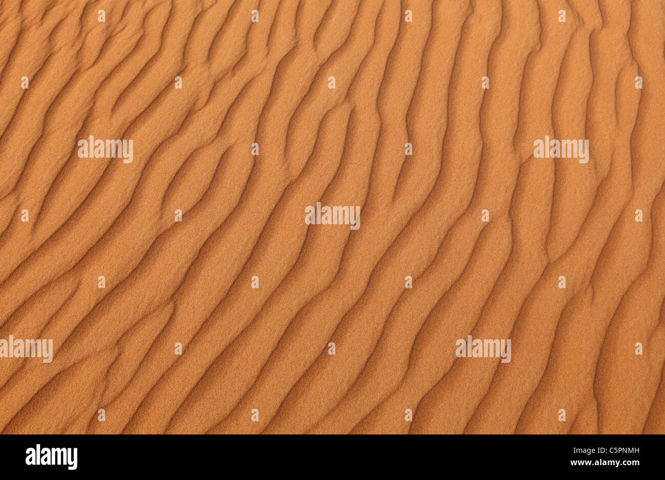 Pattern on a sand dune in a desert near Dubai, United Arab Emirates Stock Photo