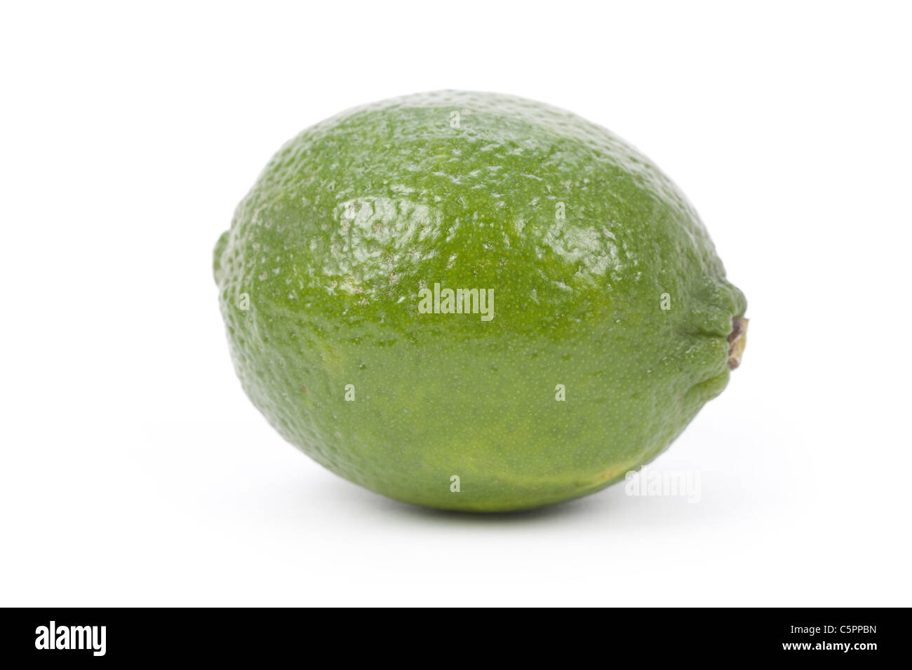 green Lime with white background Stock Photo