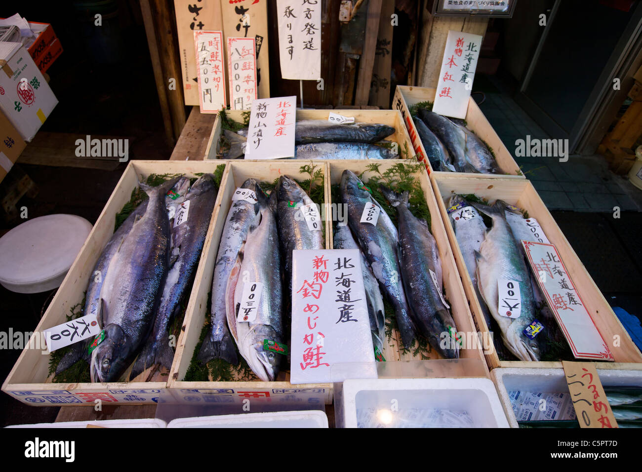 Fresh Seafood for sale at the Tsukiji Wholesale Seafood and Fish Market