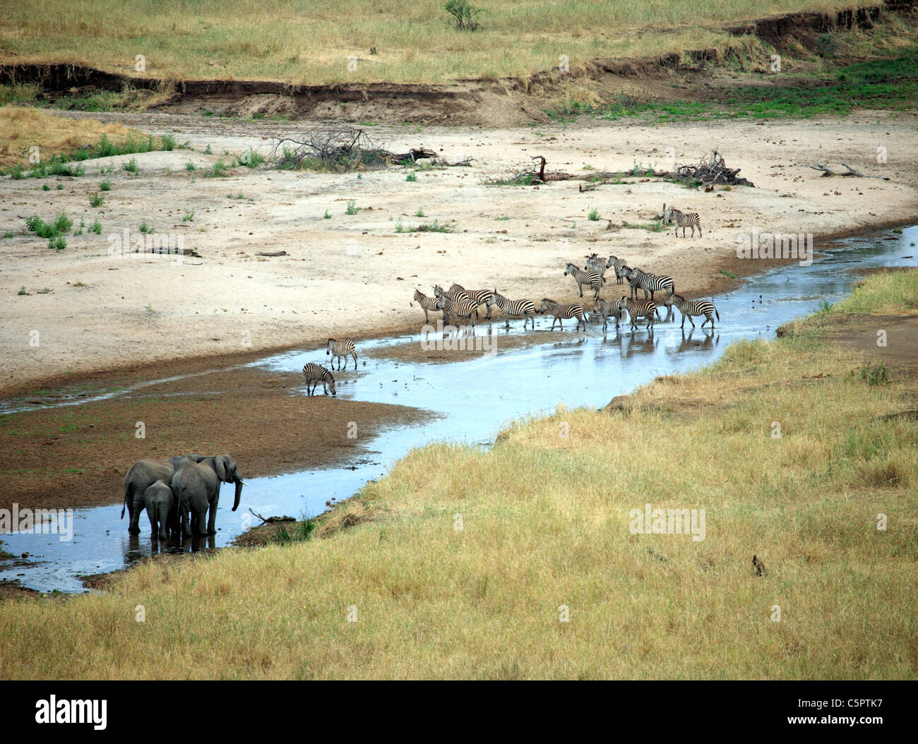 Tarangire National Park, Tanzania Stock Photo