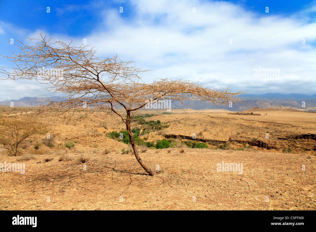 Rift Valley, Tanzania Stock Photo
