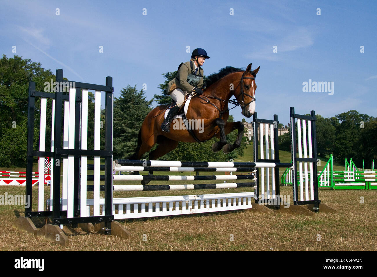 Horse & rider at crosscountry horse trails; agility test Stock Photo